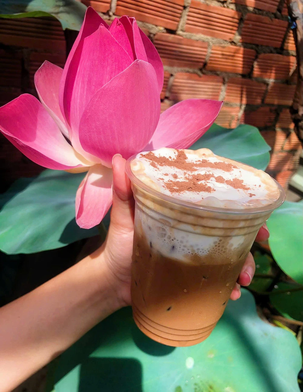 12 loại thuốc không nên dùng chung với cà phê.jpg