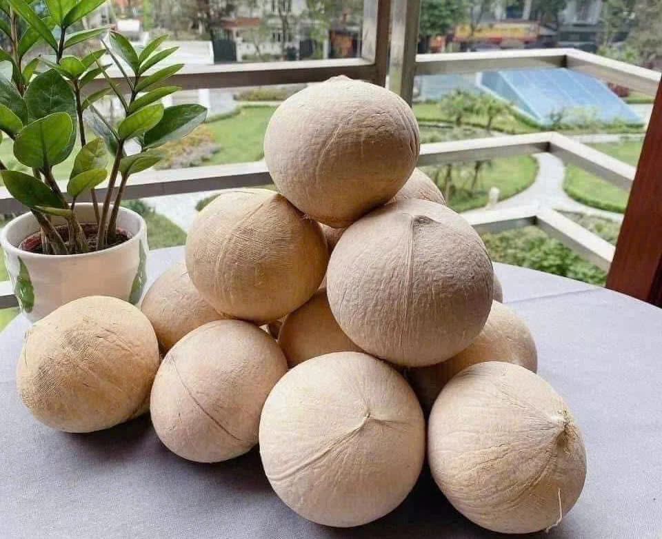 Điểm danh 8 loại đồ uống giàu Magie đáng ngạc nhiên.jpg