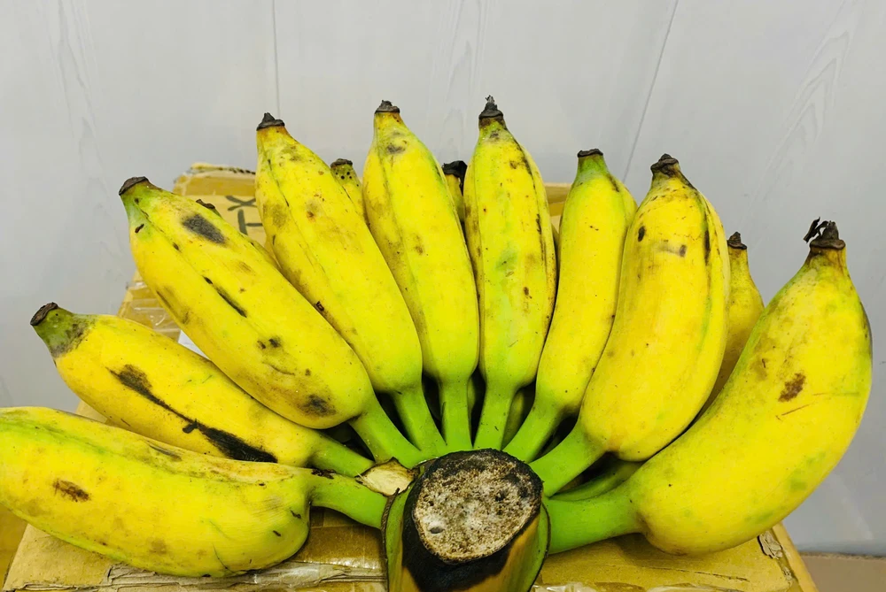 Những cách tự nhiên để tăng cường năng lượng trước khi tập luyện.jpg