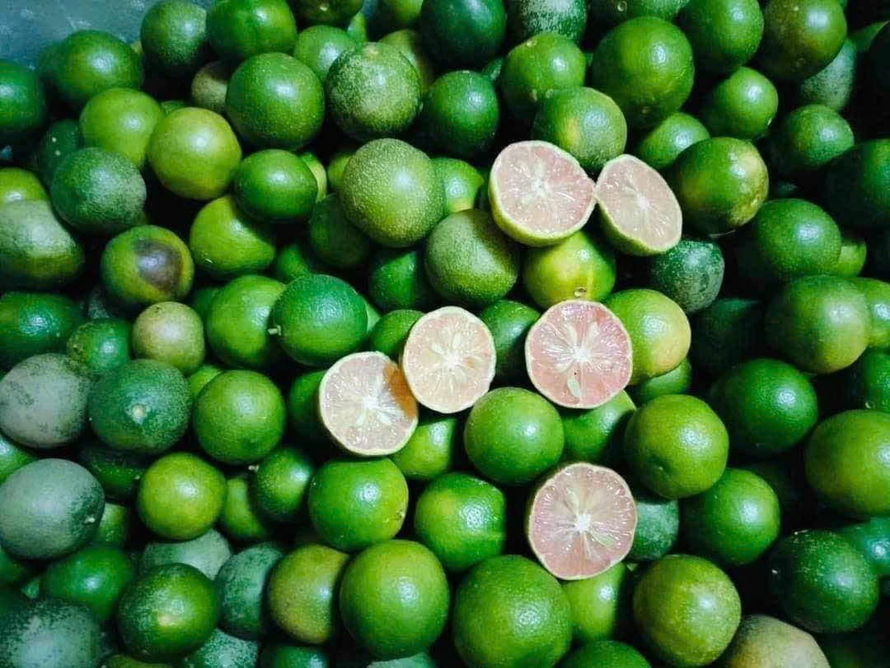 Bất ngờ với việc uống nước chanh nghệ mỗi sáng.jpg