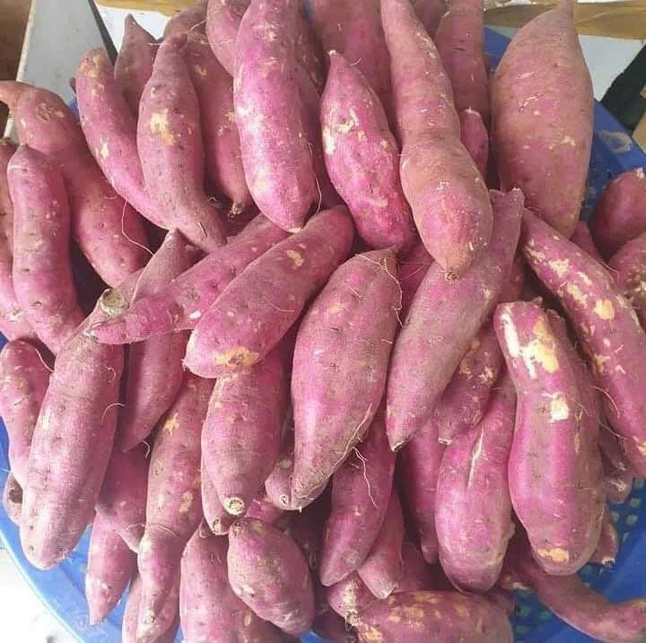 Điểm danh 9 loại rau giàu tinh bột, tốt cho sức khỏe toàn diện.jpg