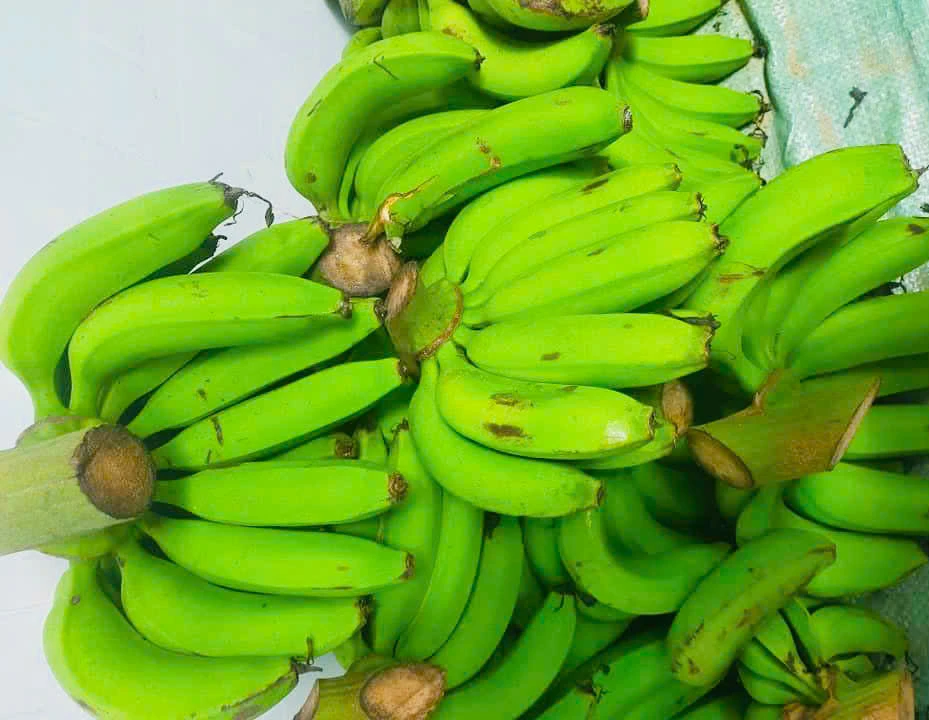 Điểm danh 9 loại rau giàu tinh bột, tốt cho sức khỏe toàn diện.jpg