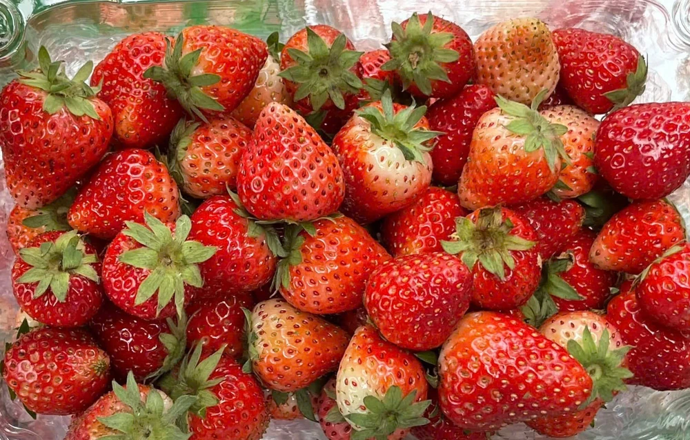 Biện pháp giải độc tự nhiên cho người hút thuốc, nghiện rượu.jpg