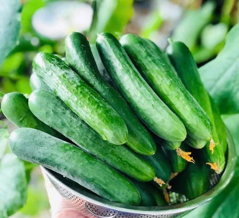 6 thực phẩm 'vàng' vừa cấp nước vừa ổn định đường huyết.jpg