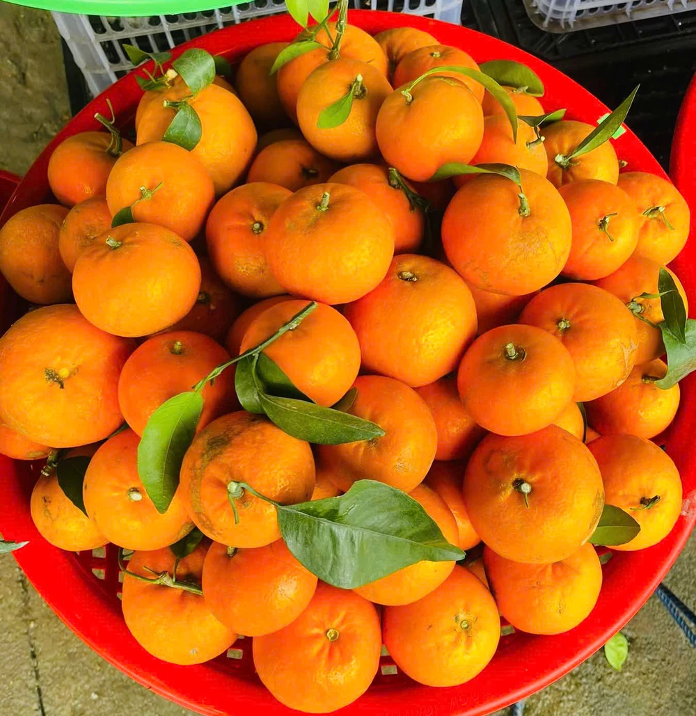 Top thực phẩm tự nhiên giúp tăng cường sức đề kháng mùa hè.jpg