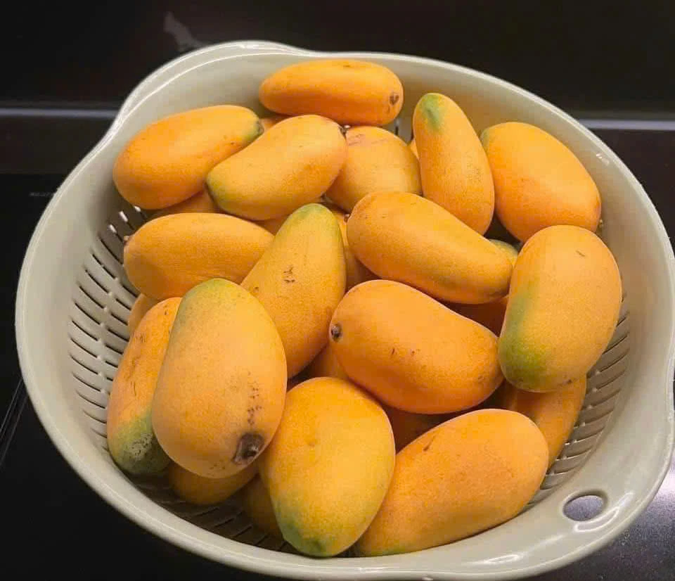 Một số cách giảm tình trạng nôn nao sau khi uống rượu.jpg