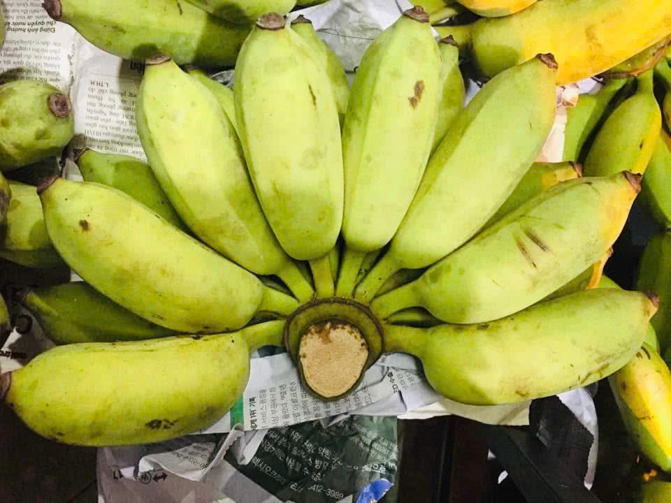 Ăn chuối mỗi ngày: Tác động gì đến huyết áp của bạn?.jpg