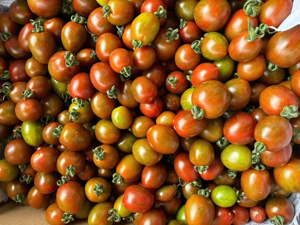 Thực phẩm vàng giúp quý ông giảm nguy cơ mắc ung thư tuyến tiền liệt.jpg