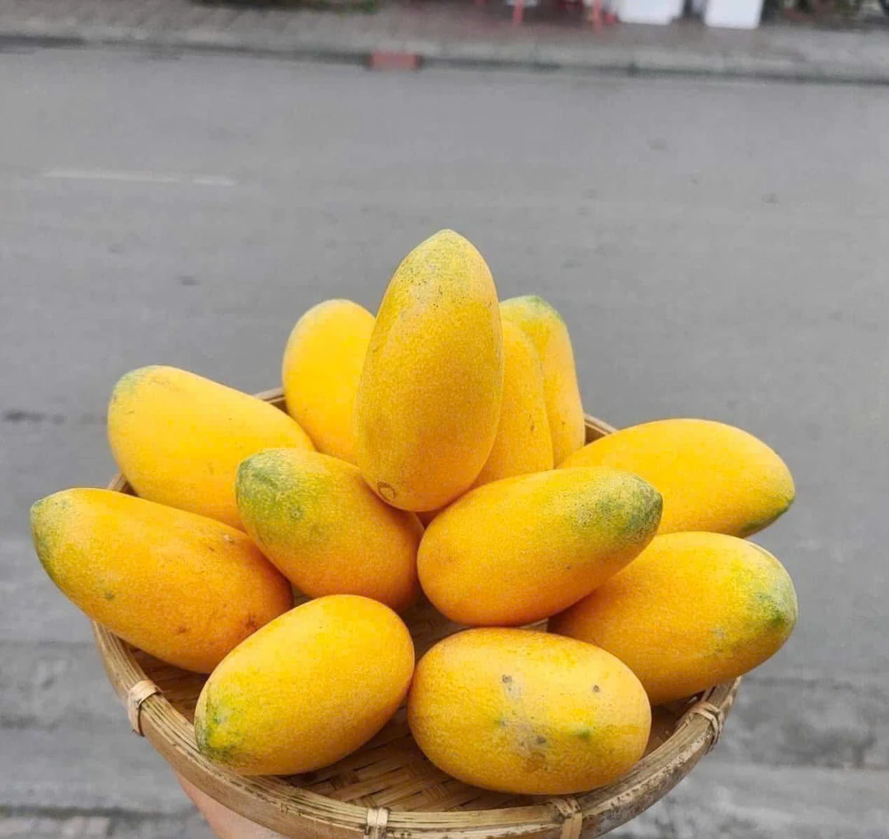 Điều gì xảy ra với lượng đường trong máu khi bạn ăn xoài mỗi ngày?.jpg