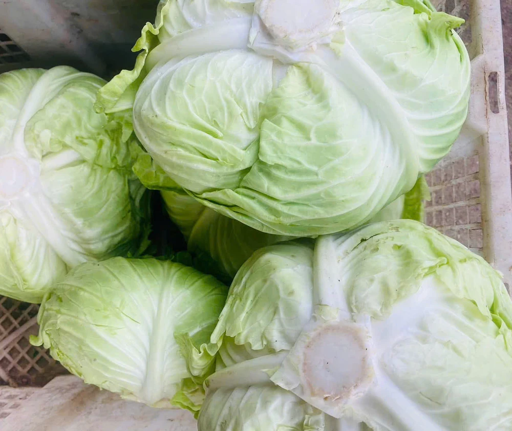 Bổ sung 1,5 cốc rau xanh mỗi ngày: Chìa khóa giảm nguy cơ bệnh tim ở người lớn tuổi.jpg