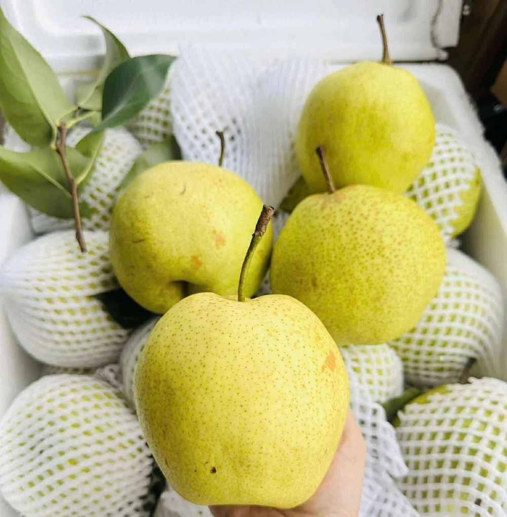 8 loại thực phẩm giúp duy trì huyết áp khỏe mạnh.jpg