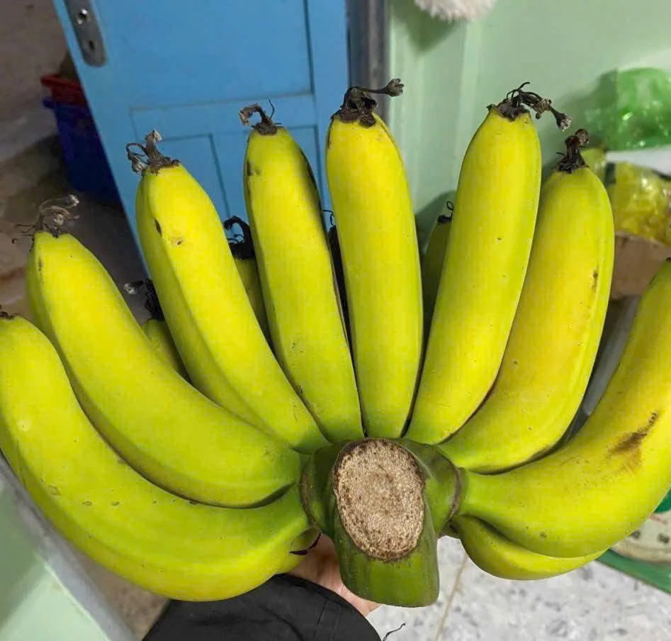 Điều gì xảy ra với cơ thể khi bạn tiêu thụ chuối lúc đói bụng?.jpg