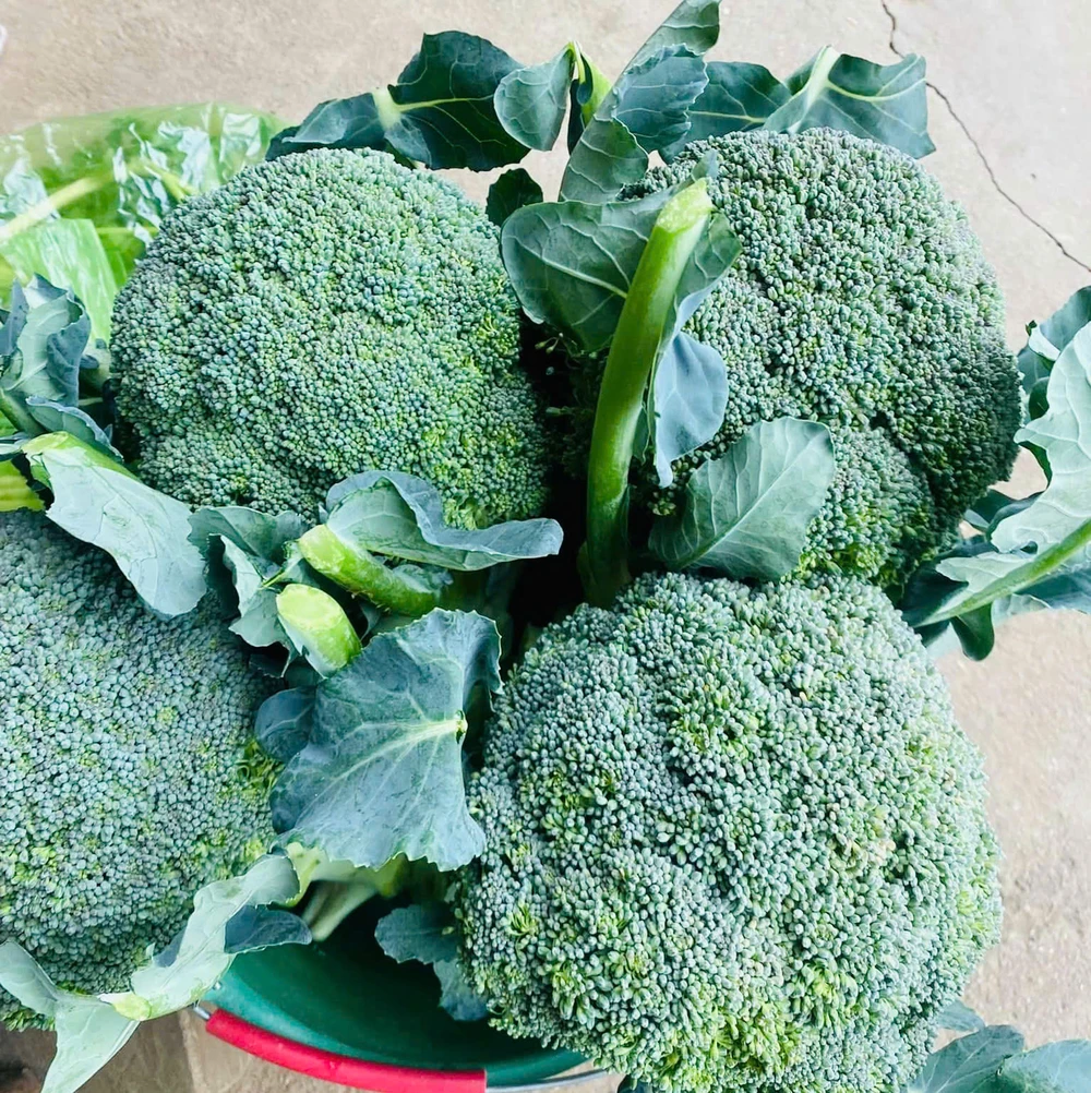 5 loại rau cực kỳ tốt giúp hạ huyết áp tự nhiên, nên thêm vào thực đơn.jpg