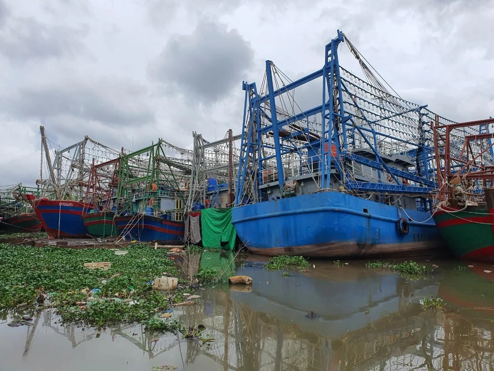 Các địa phương ven biển TP Hải Phòng kêu gọi tàu thuyền tránh trú, chủ động ứng phó bão số 3. Ảnh LÊ ĐỒNG