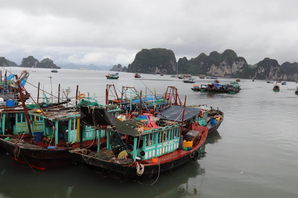 Bộ đội Biên phòng tỉnh Quảng Ninh chủ động kêu gọi tàu thuyền tránh, trú an toàn. Ảnh: LÊ ĐỒNG