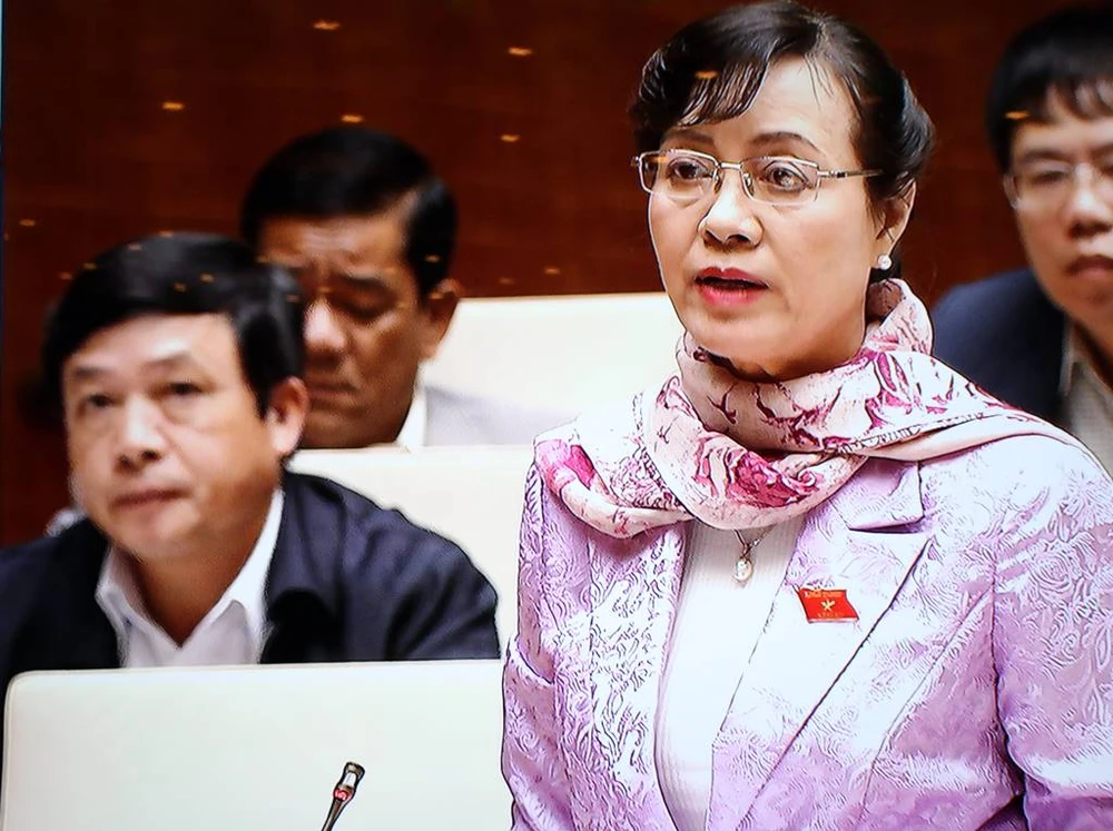 Đại biểu TP.HCM, Đà Nẵng lo về điều tiết ngân sách ảnh 1