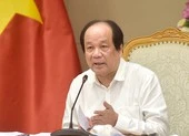 ‘Văn bản chồng chất, chúng ta rất khổ, không nhớ hết’