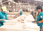 Gỗ Việt xuất khẩu phải giải trình với Mỹ