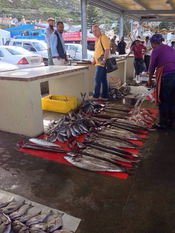 Thu Minh đi trực thăng để ngắm cảnh đẹp Nam Phi ảnh 14