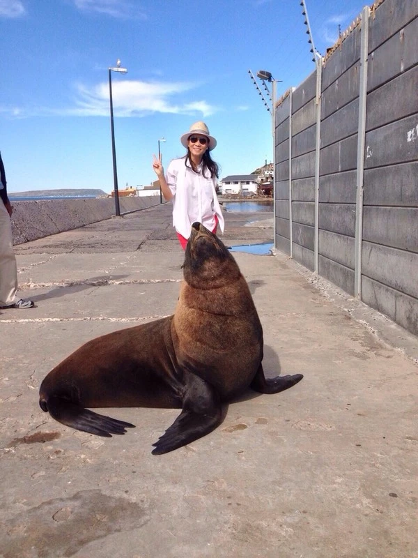 Thu Minh đi trực thăng để ngắm cảnh đẹp Nam Phi ảnh 8