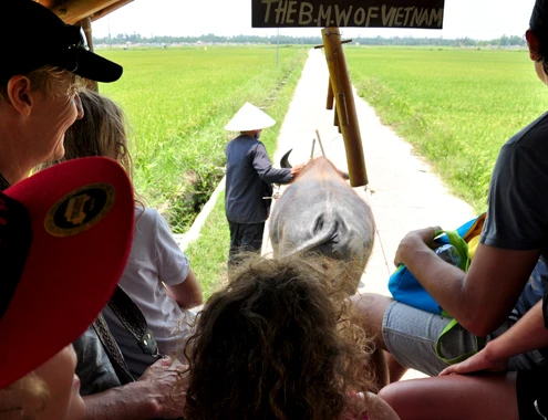 Sau 4 nămmở tour du lịch trải nghiệm đồng quê, anh Khoa không chỉ góp phần quảng bá bức tranh nông thôn Việt Nam thanh bình đến với bạn bè quốc tế,mà còn tạo thêm nguồn thu nhập đáng kể cho bà con nông dân ở phố cổ Hội An. 18-4-Anh-4-Nuoi-trau-lam-du-li-2729-5863