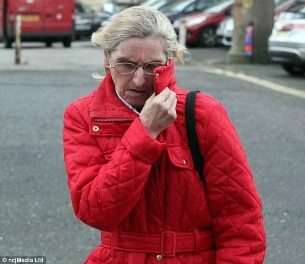 Giúp chủ trọ cưỡng hiếp trẻ vị thành niên để trừ vào tiền thuê nhà 1