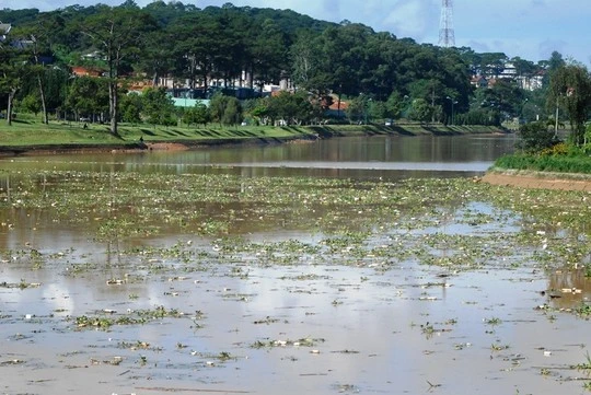 Hồ Xuân Hương đầy rác, cạn bất thường