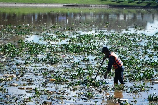 Hồ Xuân Hương đầy rác, cạn bất thường