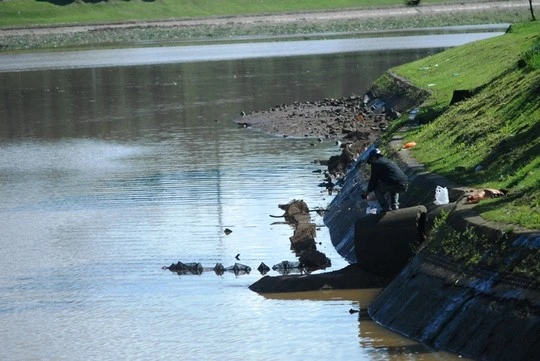 Hồ Xuân Hương đầy rác, cạn bất thường