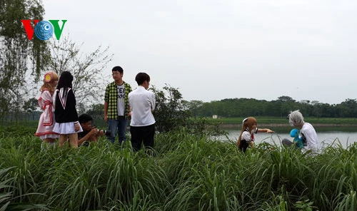 Nơi đây có những vị trí đẹp, cảnh quan nên thơ để thử tay nghề của các bạn trẻ chụp ảnh.