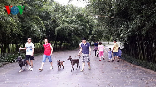 Nhiều gia đình đưa trẻ em tới vui chơi, một số người khác thì dắt chó đi dạo...