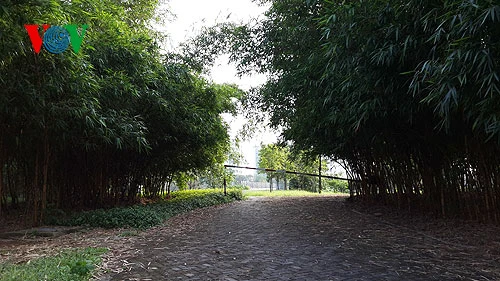 Tuy nhiên, có một số bất cập trong công viên Yên Sở, càng đi sâu vào trong càng vắng vẻ, cỏ dại um tùm, lá cây rụng chưa được quét dọn khiến những người lần đầu tiên vào đây có cảm giác khu này bỏ hoang lâu ngày.