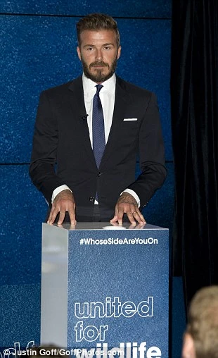 Thu Minh rạng rỡ chụp ảnh cùng David Beckham và hoàng tử William ảnh 10