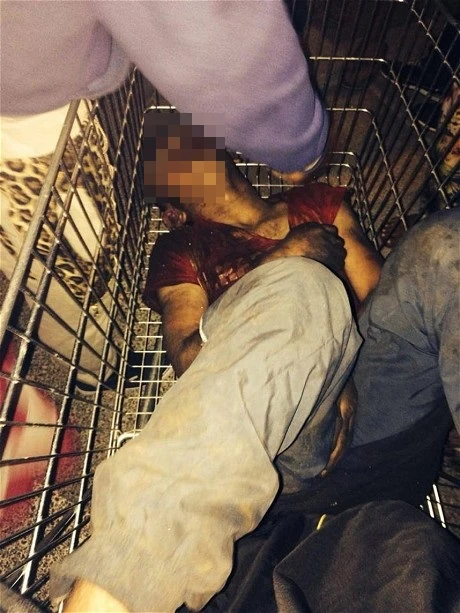 Cậu bé bị đánh đập dã man khiến cả nước Pháp choáng váng ảnh 2