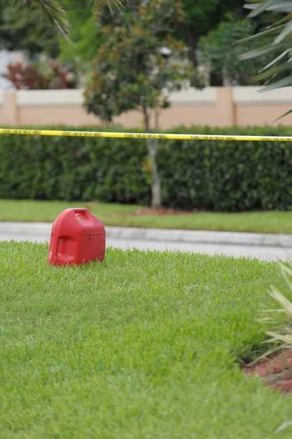 PBTV_Manatee_TuThieu6