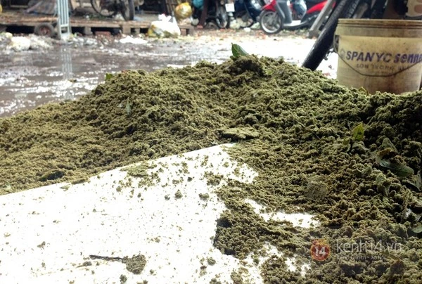 Chà vỏ sấu, kiếm bạc triệu mỗi ngày ảnh 10