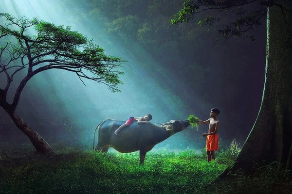 Chùm ảnh tuyệt đẹp về tuổi thơ của trẻ em trên toàn thế giới ảnh 1