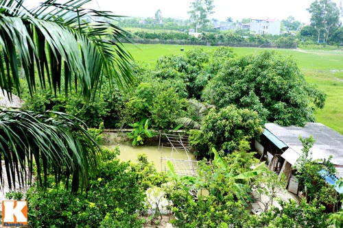 Khám phá nông trang 10.000m2 của Giang Còi ảnh 21 - 21