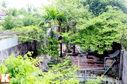 Khám phá nông trang 10.000m2 của Giang Còi ảnh 3 - 3