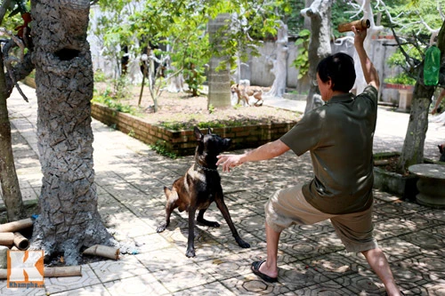 Khám phá nông trang 10.000m2 của Giang Còi ảnh 10 - 10