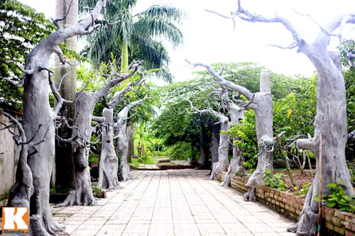 Khám phá nông trang 10.000m2 của Giang Còi ảnh 20 - 20