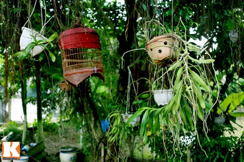 Khám phá nông trang 10.000m2 của Giang Còi ảnh 24 - 24