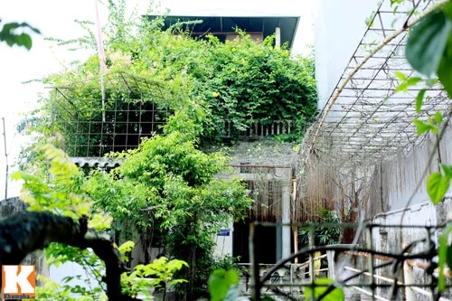 Khám phá nông trang 10.000m2 của Giang Còi ảnh 2 - 2