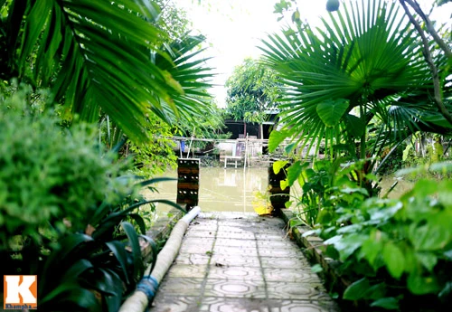 Khám phá nông trang 10.000m2 của Giang Còi ảnh 22 - 22