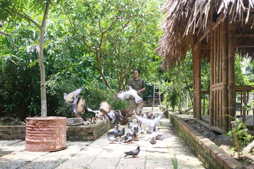 Khám phá nông trang 10.000m2 của Giang Còi ảnh 8 - 8