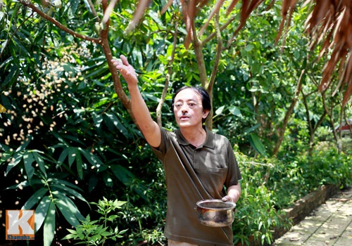 Khám phá nông trang 10.000m2 của Giang Còi ảnh 7 - 7