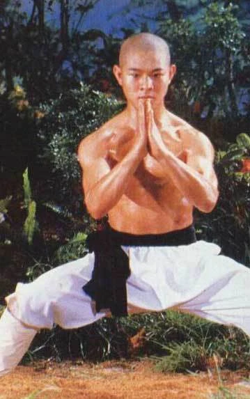 Lý Liên Kiệt từng được tổng thống Mỹ mời làm vệ sĩ riêng ảnh 17 - 17