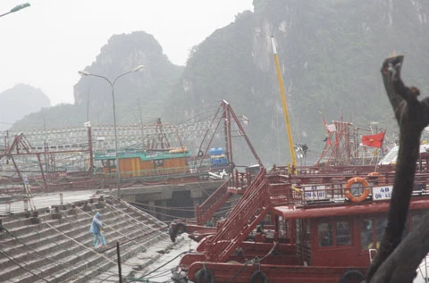 bão; Vân Đồn; Quảng Ninh