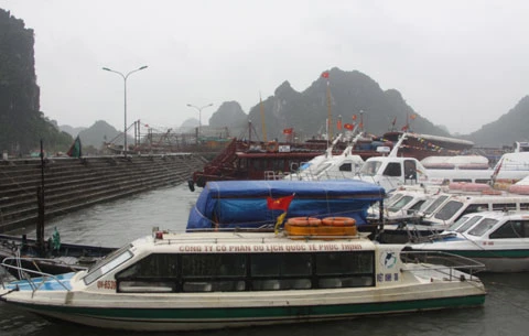 bão; Vân Đồn; Quảng Ninh