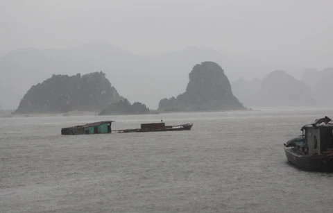 bão; Vân Đồn; Quảng Ninh